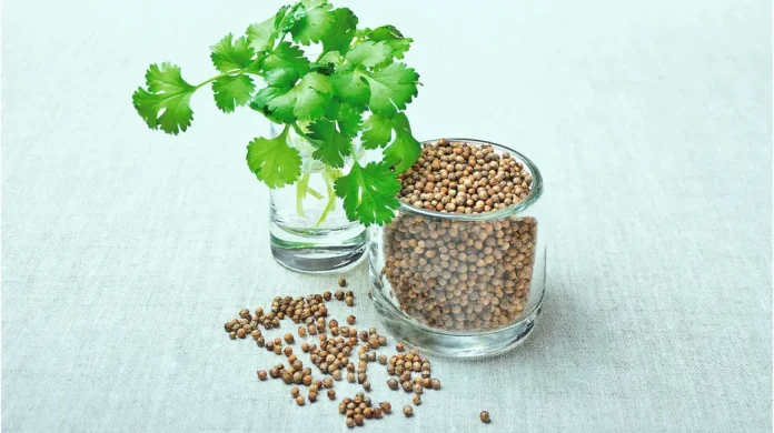 8-surprising-health-benefits-of-coriander