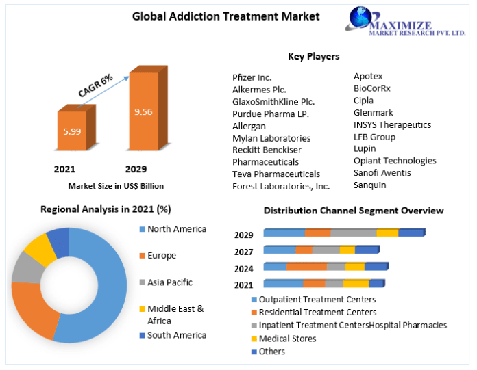 Addiction Treatment Market