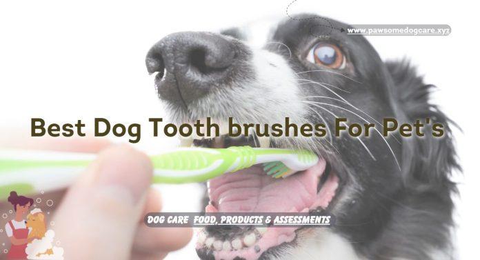 Top 5 Dog Toothbrushes For Pet's