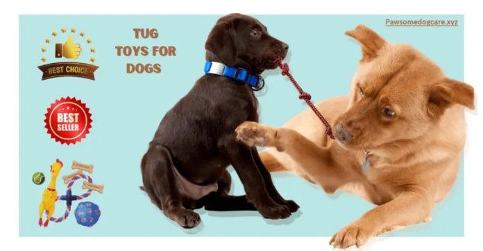 intrective-Best-Tug-Toys-for-Dogs-play