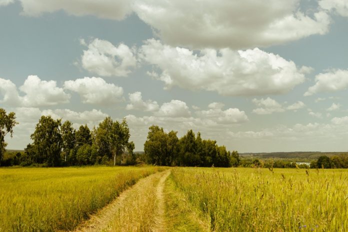 Farmland investment