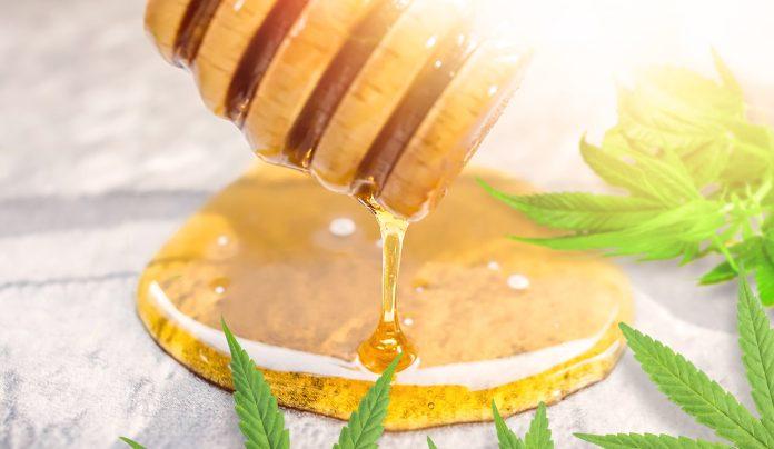 CBD honey