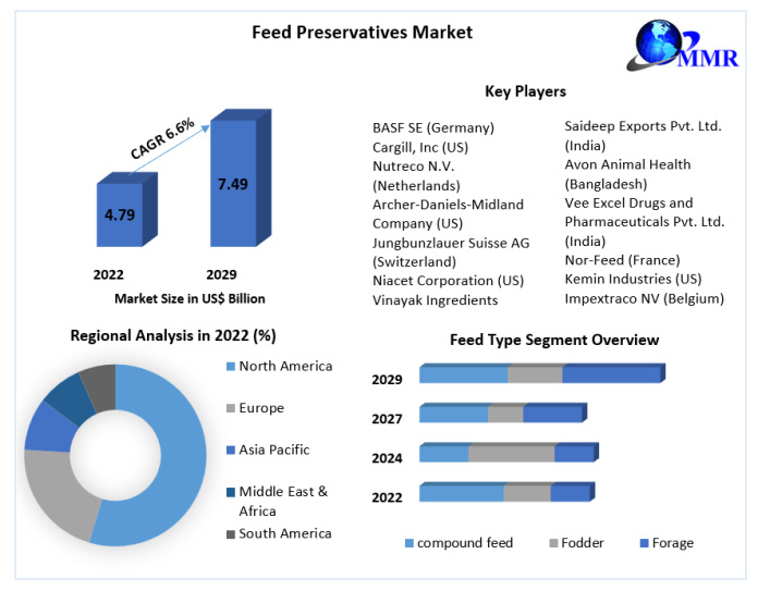 Feed Preservatives Market