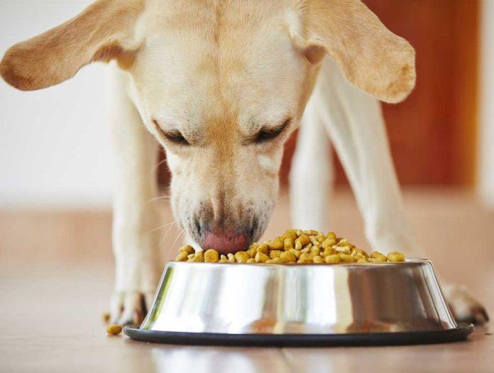 India Pet Food Market India Pet Food Market