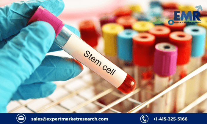 Stem Cell Market