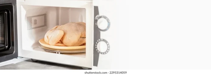 microwave oven