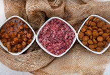 best raw meat for dogs
