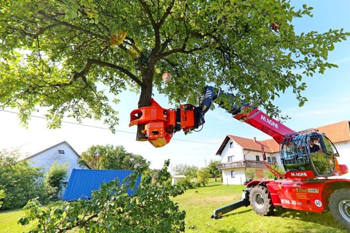 houston heights landscaping houston heights landscaping