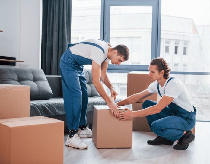 Movers Avondale AZ