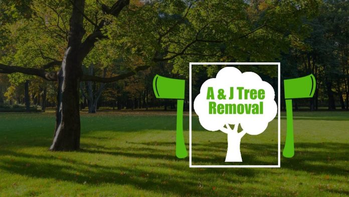 tree removal miami township oh
