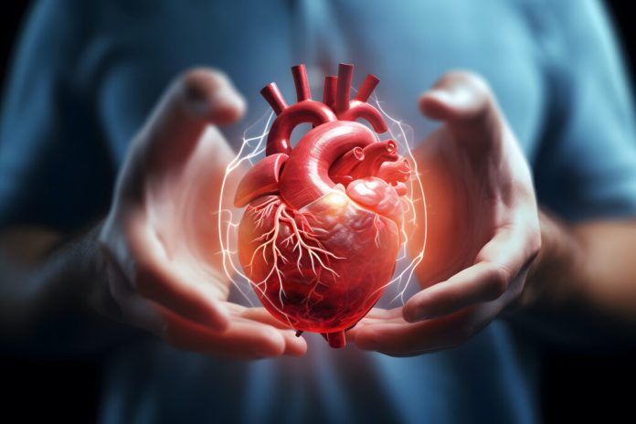 Wolfie Health Portal