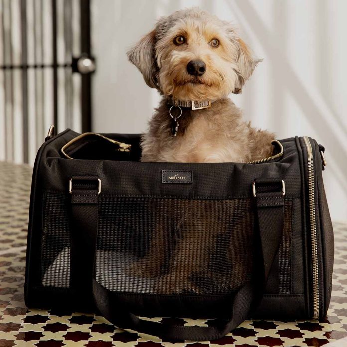 puppy purse carrier