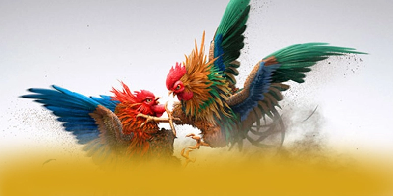 GEM88 - Cổng game bài được đánh giá cao về độ tin cậy được yêu thích hàng đầu – Tìm hiểu thêm về GEM88