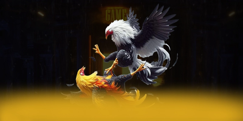 
Trải nghiệm tỷ lệ kèo bóng đá - Nhà cái phổ biến nhất tại Việt Nam
