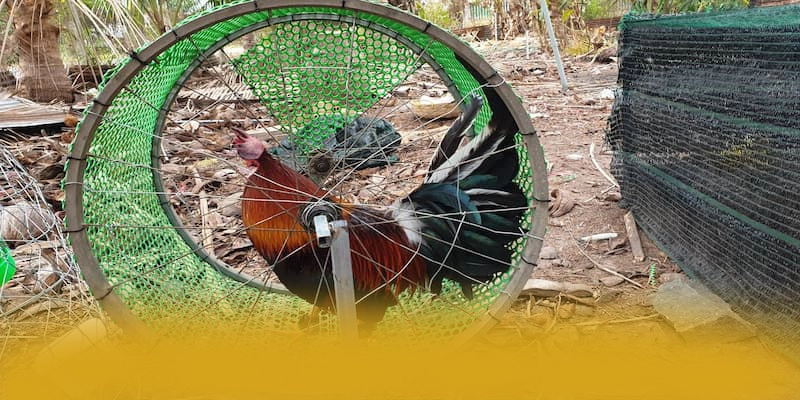 GEM88 - Nền tảng cá cược cung cấp hàng trăm tựa game đẳng cấp trong cộng đồng game thủ – Điểm qua GEM88