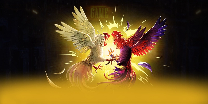 GEM88 - Khẳng định vị thế từ trải nghiệm thực tế.