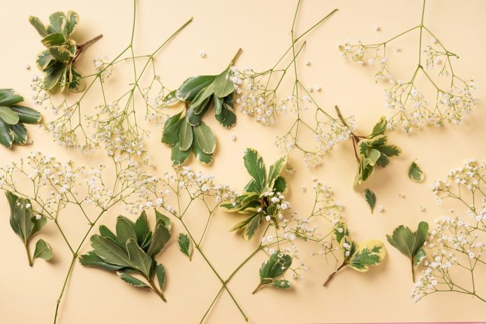 Financial Wellness for Couples USA