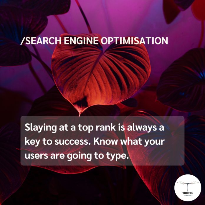 SEO Services Online Marketing Agency In Gurgaon