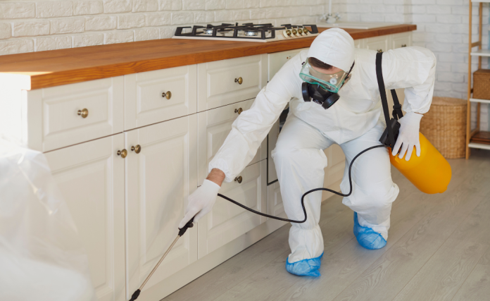 mosquito pest control mosquito pest control