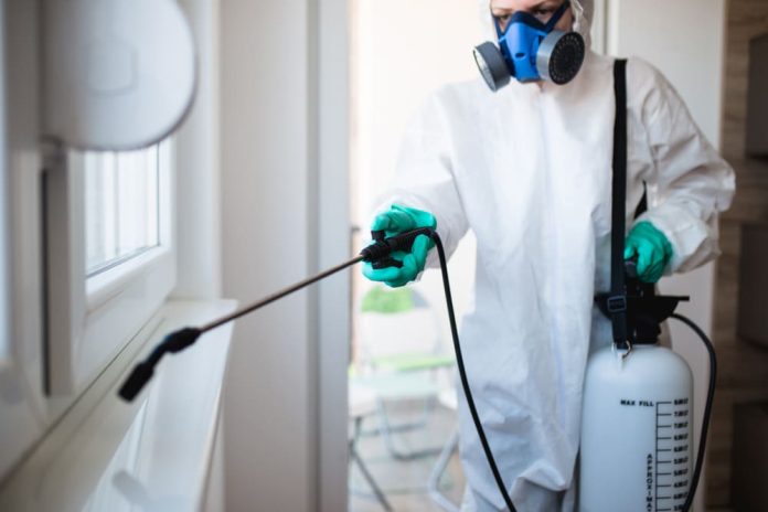 pest control services burnaby