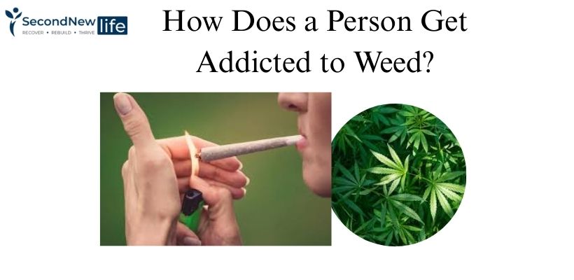 Why A Person is Addicted to Weed image