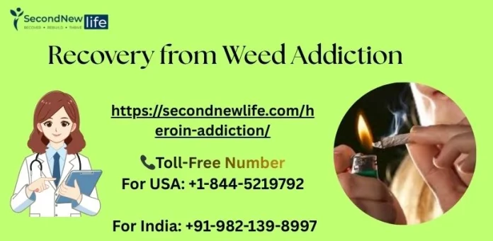 Recovery Of Weed Addiction Image