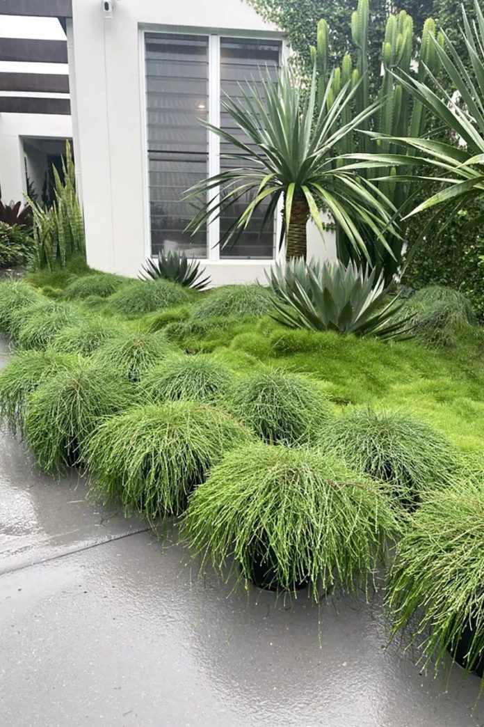garden landscaping brisbane