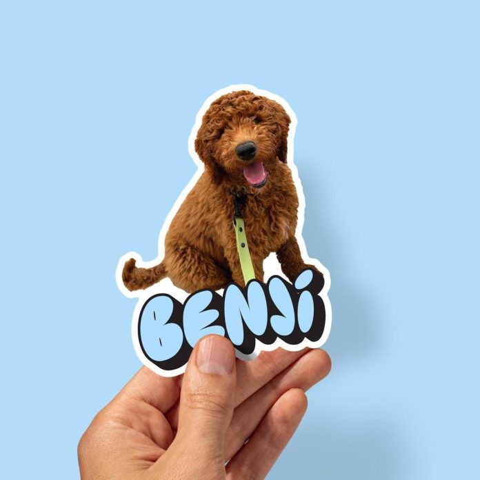 Custom pet stickers with logo