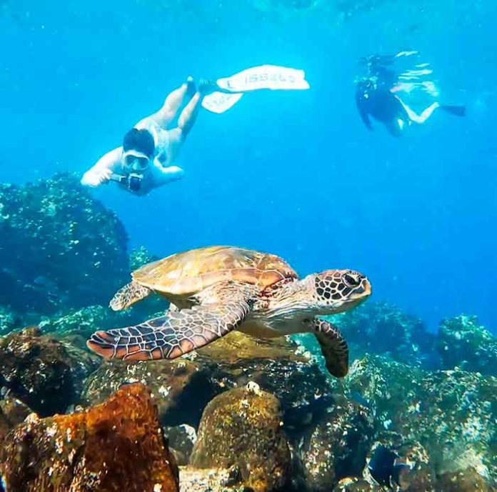 snorkeling-nemo-galapagos (1)
