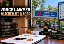 Divorce Lawyer