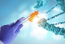 Protein A Antibody Purification