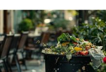 Waste Management Services for Restaurants and Commercial Food Businesses