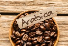 Arabica coffee Dubai