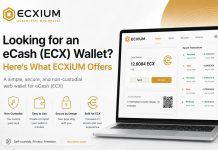 cryptocurrency wallet technology