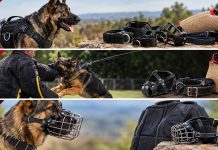 Dog Training Accessories: Bite Suits, Leather Muzzles and Essential Training Gear Dog Training Accessories