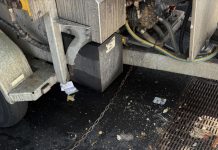 How Gold Coast Bin Butler Improved Efficiency with a Dual Head Bin Washing Machine