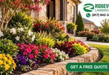 Backyard Remodeler in Mansfield