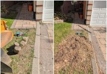 Tree Stump Removal: How to Handle Large Stumps the Right Way Tree Stump Removal