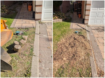 Stump out Richmond Hill Tree Stump Removal