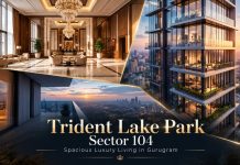 Trident Lake Park Sector 104: A Home with More Room for Life