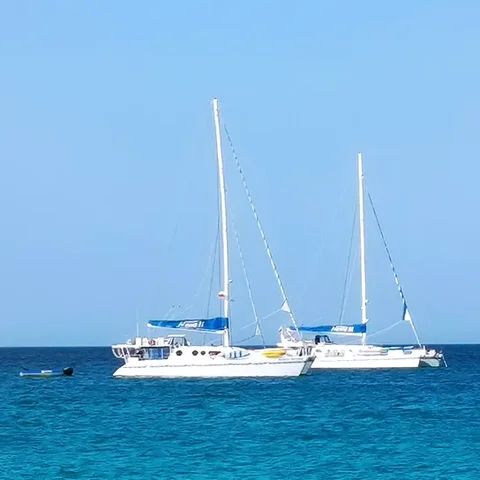 nemo-fleet-galapagos-480.webp.bv