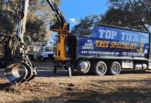 Tree Trimming and Pruning: Keep Your Trees Healthy, Safe, and Beautiful