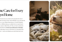 Compassionate End-of-Life Care for Pets in Brooklyn